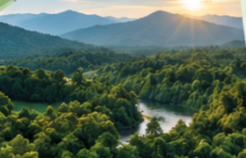 Bosque y río al amanecer